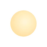 Minimalistisk Rund Glas Væglampe LED 1-Lys